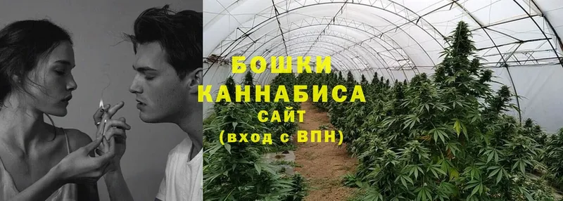 kraken ССЫЛКА  Слюдянка  Марихуана SATIVA & INDICA  купить наркотики сайты 